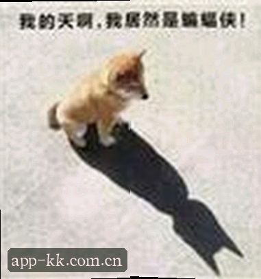 徐婷